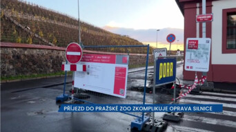 Příjezd do pražské zoo komplikuje oprava silnice, počítejte se zdržením