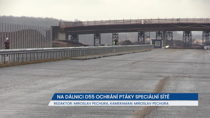 Na vznikající dálnici D55 budou unikátní sítě, ochrání zvířata i řidiče