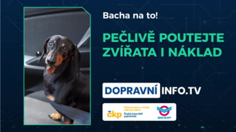 Pečlivě poutejte zvířata i náklad