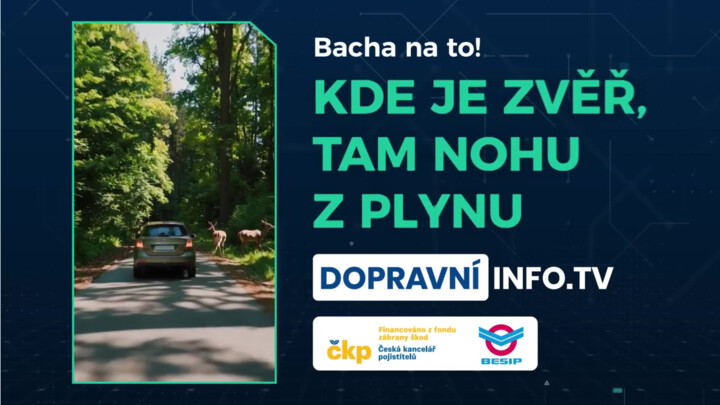 Kde je zvěř, tam nohu z plynu
