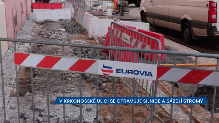 V Krkonošské ulici se opravuje silnice a sázejí stromy